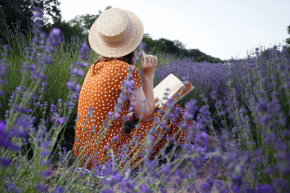 a girl with a book is sitting in a lavender field