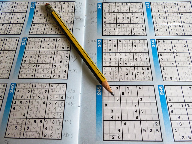 leisure-time-mystery-sudoku-pencil